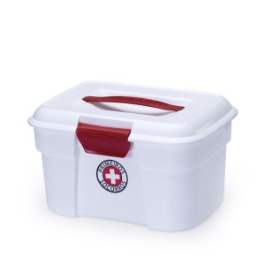 Cosmetic Box Ps Pequeno 5030P - Plasnorthon