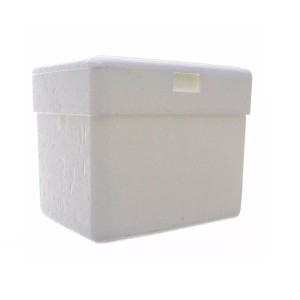 Caixa Termica 35L  CX-035 - Placterm