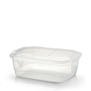 Container Organizador Transparente 6 L  Baixo  1123 - Rainha
