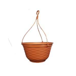 Cuia 31 31x Color  0824G - GOYAMA