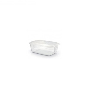 container  organizador transparente 10LTS  1100 - Rainha