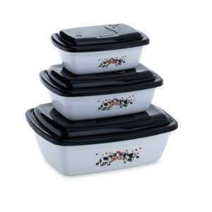 Pote  com 3 peças PMG retangular decorado 3966 - Rainha